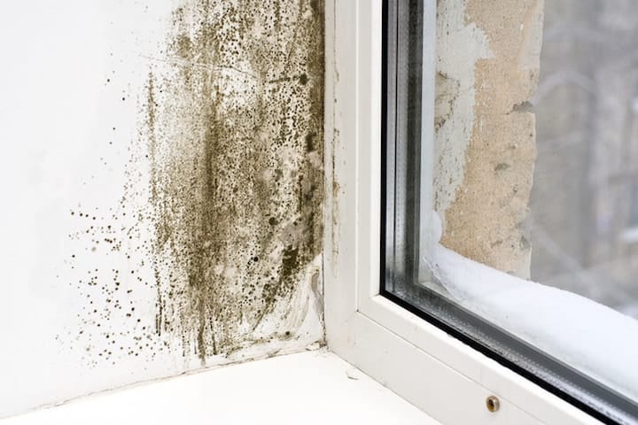 Vochtproblemen en slechte ventilatie zijn vaak de oorzaak van schimmel in de slaapkamer