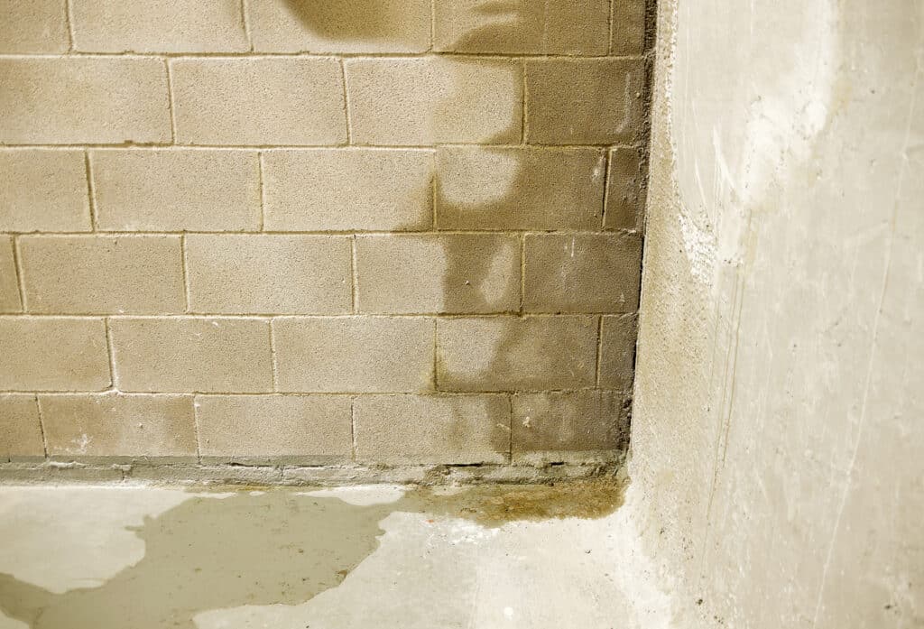 Water op muren in de kelder